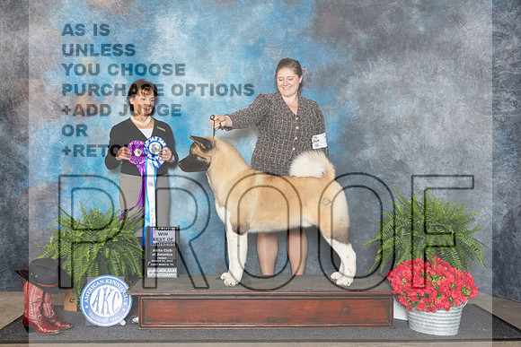 Akita #7 Fri BOW Judge Pamela Lambie__JP_1581_FWKC_2024_HR3