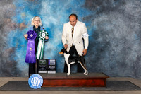Basenji #17 FRi WDAOM Judge Molly Martin