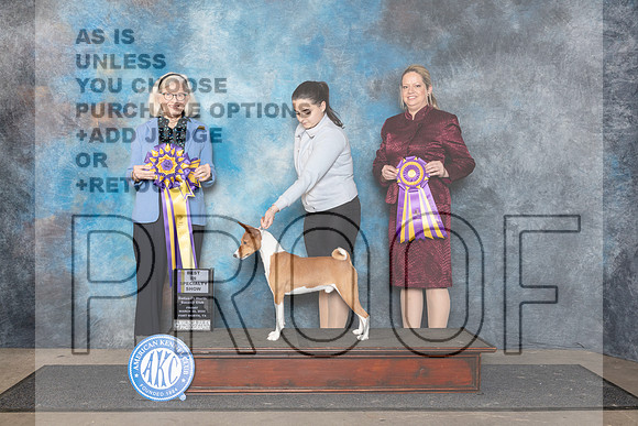 Basenji #19 Fri BISS Judge Molly Martin__JP_2092_FWKC_2024_HR3