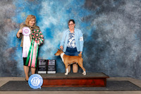 Basenji #9 Fri BVSweeps Judge Theresa Lyons