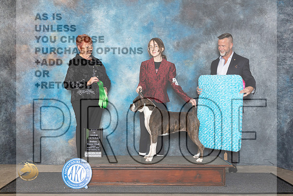Boxer #? Fri BVet Judge Roberta Rettick__JP_1321_FWKC_2024_HR3
