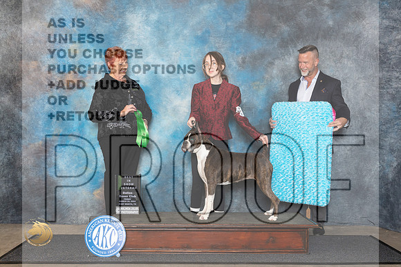 Boxer #? Fri BVet Judge Roberta Rettick__JP_1323_FWKC_2024_HR3