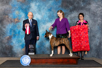 Boxer #10 Fri BOS Judge Ken Buxton