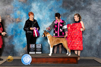 Boxer #24 Fri WBBOS Judge Roberta Rettick