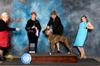 Boxer #25 Fri RWD Judge Roberta Rettick