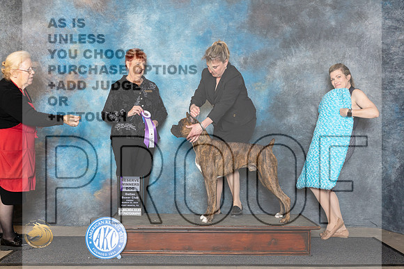 Boxer #25 Fri RWD Judge Roberta Rettick__JP_1367_FWKC_2024_HR3