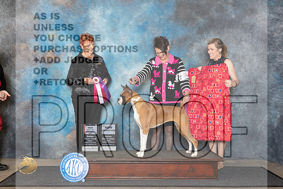 Boxer #24 Fri WBBOS Judge Roberta Rettick__JP_1344_FWKC_2024_HR3