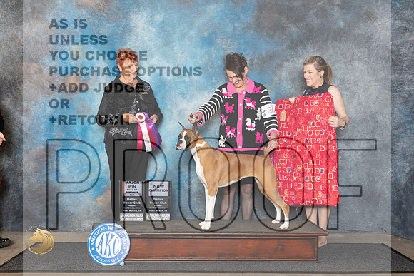 Boxer #24 Fri WBBOS Judge Roberta Rettick__JP_1345_FWKC_2024_HR3