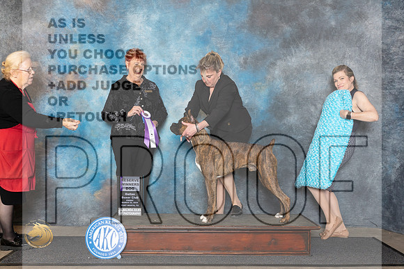 Boxer #25 Fri RWD Judge Roberta Rettick__JP_1368_FWKC_2024_HR3