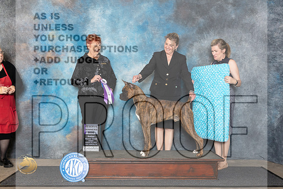 Boxer #25 Fri RWD Judge Roberta Rettick__JP_1369_FWKC_2024_HR3