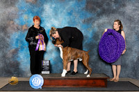 Boxer #27 Fri BISS Judge Roberta Rettick