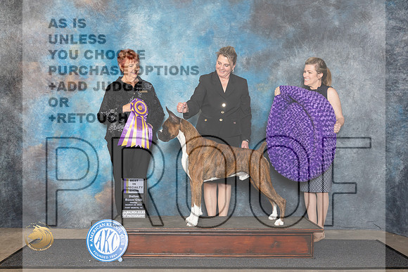 Boxer #27 Fri BISS Judge Roberta Rettick__JP_1339_FWKC_2024_HR3