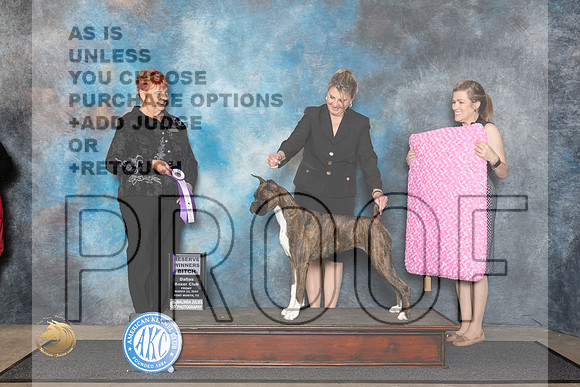 Boxer #42 Fri RWB Judge Roberta Rettick__JP_1357_FWKC_2024_HR3