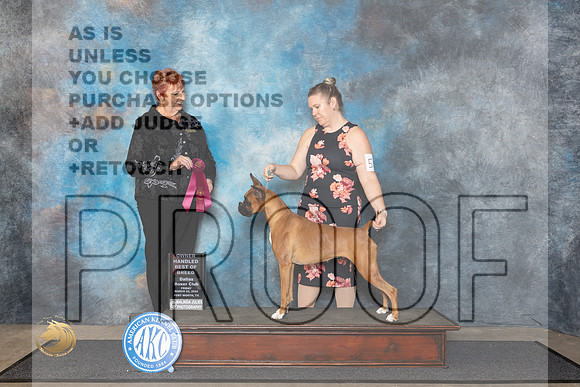 Boxer #56 Fri OHBOB Judge Roberta Rettick__JP_1326_FWKC_2024_HR3