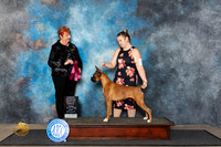 Boxer #56 Fri OHBOB Judge Roberta Rettick