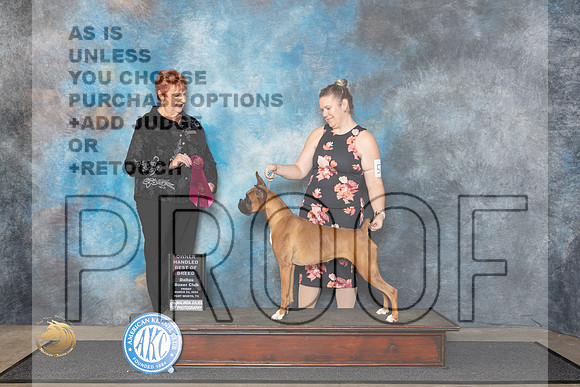 Boxer #56 Fri OHBOB Judge Roberta Rettick__JP_1327_FWKC_2024_HR3