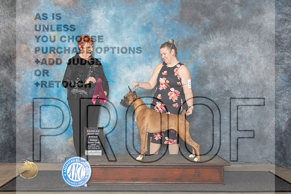 Boxer #56 Fri OHBOB Judge Roberta Rettick__JP_1329_FWKC_2024_HR3