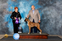 Boxer #9 Fri BOWM Judge Roberta Rettick