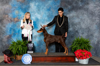 Doberman Pinscher #23 BISweeps Judge Hillary Zimmerman