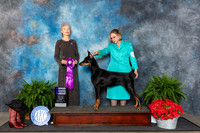 Doberman Pinscher #26 Fri WB Judge Cynthia Woodward