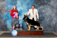 German Shepherd #18 Fri BOS Judge Nancy Simmons