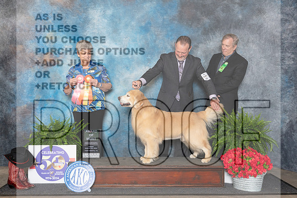 Golden Retriever #25 Fri AOM Judge Nancy Tolbott__JP_1691_FWKC_2024_HR3