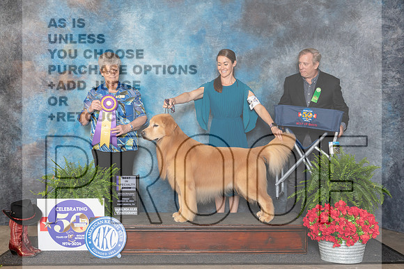 Golden Retriever #49 Fri BISS Judge Nancy Tolbott__JP_1740_FWKC_2024_HR3