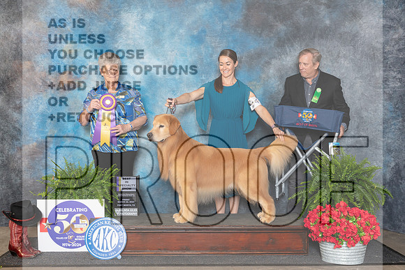 Golden Retriever #49 Fri BISS Judge Nancy Tolbott__JP_1742_FWKC_2024_HR3