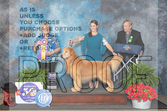 Golden Retriever #49 Fri BISS Judge Nancy Tolbott__JP_1741_FWKC_2024_HR3