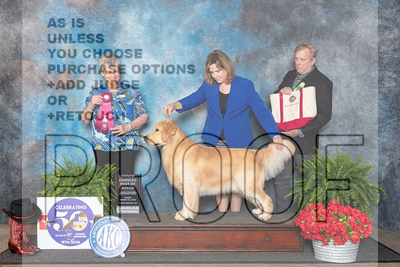 Golden Retriever #61 Fri OHBOB  Judge Nancy Tolbott__JP_1714_FWKC_2024_HR3