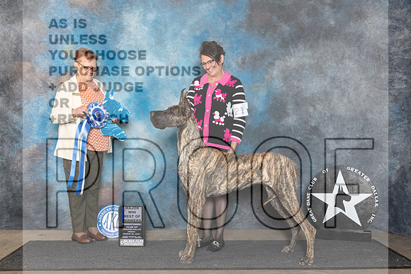 Great Danne #? Fri BOW Judge Fay Rogstad__JP_1811_FWKC_2024_HR3