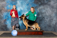German Shepherd Dog #J514 Fri BJ Judge Nancy Simmons_FWKC2024