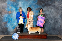 Pembroke Welsh Corgi #39 Fri BISSweeps Judge Tammy Floyd