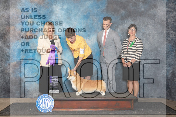 Pembroke Welsh Corgi #40 Fri SB Judge Patricia Seifert__JP_1880_FWKC_2024_HR3