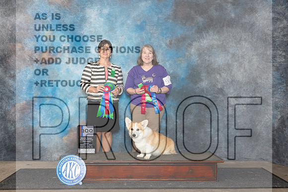 Pembroke Welsh Corgi #5 Fri QQQ__JP_1869_FWKC_2024_HR3