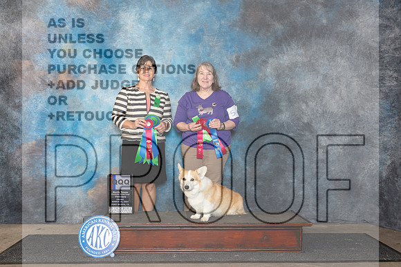 Pembroke Welsh Corgi #5 Fri QQQ__JP_1871_FWKC_2024_HR3