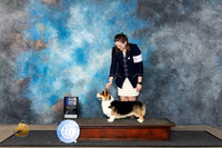 Pembroke Welsh Corgi #53 Fri RWD Judge Patricia Siefert