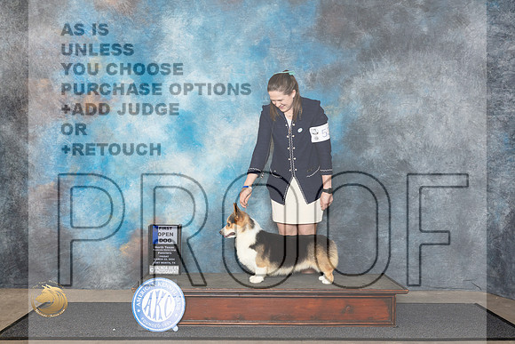 Pembroke Welsh Corgi #53 Fri RWD Judge Patricia Siefert__JP_1300_FWKC_2024_HR3