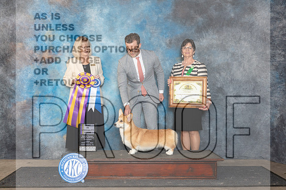Pembroke Welsh Corgi #7 Fri BISS Judge Patricia Seifert__JP_1883_FWKC_2024_HR3