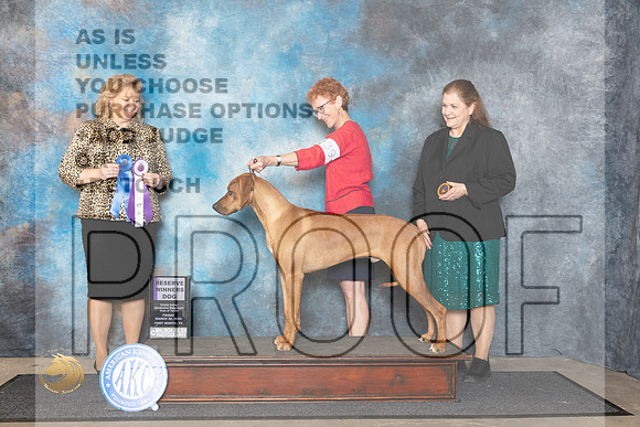 Rhodesian Ridgeback #39 Fri RWD Judge Theresa Lyons__JP_1496_FWKC_2024_HR3