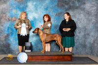 Rhodesian Ridgeback #8 Fri SB Judge Theresa Lyons