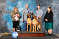 Rhodesian Ridgebacks #? Fri Brace1 Judge Theresa Lyons