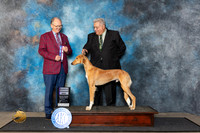 Saluki #15 Fri RWD Judge Rev Rick Martin