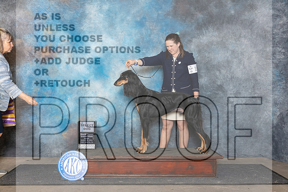 Saluki #19 Fri SD Judge Lois Ann Snyder__JP_2030_FWKC_2024_HR3