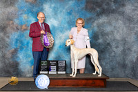 Saluki #18 Fri WB Judge Rev Rick Martin