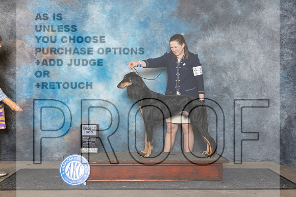 Saluki #19 Fri SD Judge Lois Ann Snyder__JP_2031_FWKC_2024_HR3