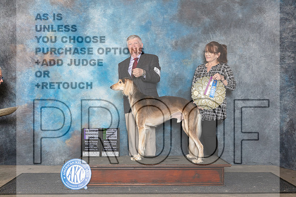 Saluki #21 Fri RWD Judge Lois Ann Snyder__JP_1932_FWKC_2024_HR3