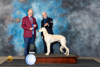 Saluki #25 Fri AOM Judge Rev Rick Martin