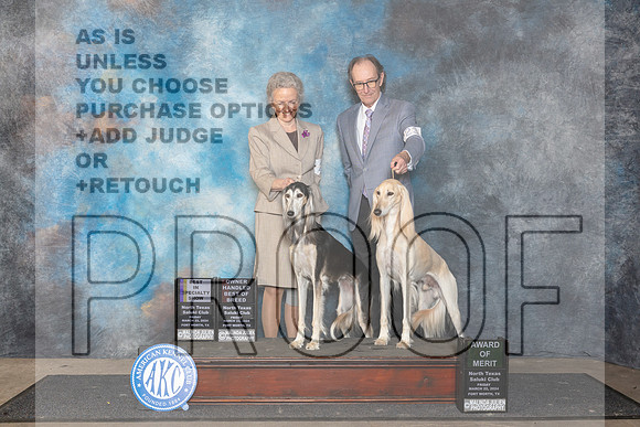 Saluki #26 Fri BISS AOM Judge Lois Ann Snyder__JP_1910_FWKC_2024_HR3
