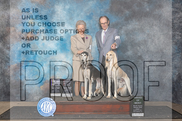 Saluki #26 Fri BISS AOM Judge Lois Ann Snyder__JP_1911_FWKC_2024_HR3